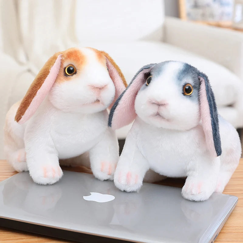 Peluche lapin | Bunéo™