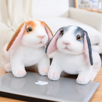 Peluche lapin | Bunéo™