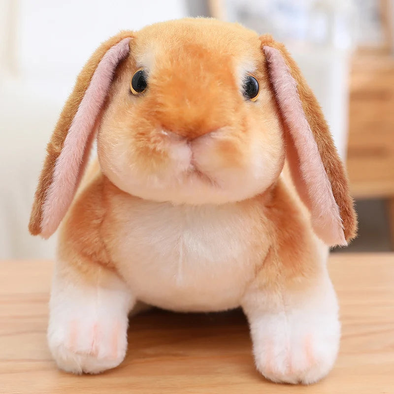 Peluche lapin | Bunéo™