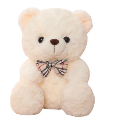 Ours en peluche doux câlin pour bébé –Teddy Bear