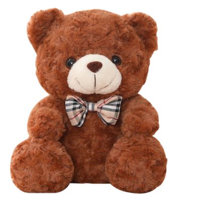 Ours en peluche doux câlin pour bébé –Teddy Bear
